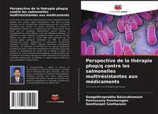 Buchcover von Perspective de la thérapie phop/q contre les salmonelles multirésistantes aux médicaments