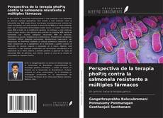 Bookcover of Perspectiva de la terapia phoP/q contra la salmonela resistente a múltiples fármacos