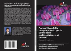 Portada del libro de Prospettiva della terapia phop/q per la Salmonella multiresistente ai farmaci