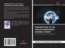 INTRODUCTION TO THE TWELVE-DIMENSIONAL UNIVERSE THEORY kitap kapağı