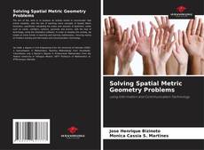 Solving Spatial Metric Geometry Problems kitap kapağı
