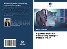 Capa do livro de Big Data-Dynamik: Verwaltung riesiger Datenmengen 