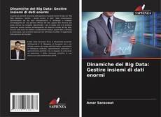 Dinamiche dei Big Data: Gestire insiemi di dati enormi kitap kapağı