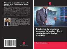 Portada del libro de Dinâmica de grandes volumes de dados: Gerir conjuntos de dados maciços