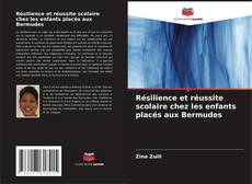 Bookcover of Résilience et réussite scolaire chez les enfants placés aux Bermudes