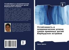 Bookcover of Устойчивость и академические успехи среди приемных детей Бермудских островов