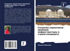 Создание нормативно-правовой инфраструктуры в стране-кандидате kitap kapağı