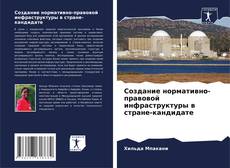 Portada del libro de Создание нормативно-правовой инфраструктуры в стране-кандидате