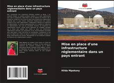 Buchcover von Mise en place d'une infrastructure réglementaire dans un pays entrant