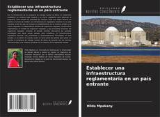 Buchcover von Establecer una infraestructura reglamentaria en un país entrante