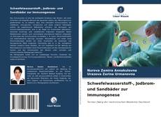 Bookcover of Schwefelwasserstoff-, Jodbrom- und Sandbäder zur Immunogenese