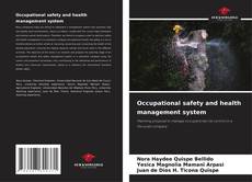 Capa do livro de Occupational safety and health management system 