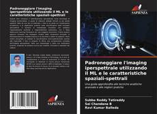 Bookcover of Padroneggiare l'imaging iperspettrale utilizzando il ML e le caratteristiche spaziali-spettrali