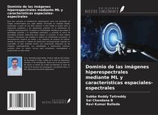 Bookcover of Dominio de las imágenes hiperespectrales mediante ML y características espaciales-espectrales