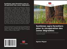 Copertina di Systèmes agro-forestiers pour la récupération des zones dégradées