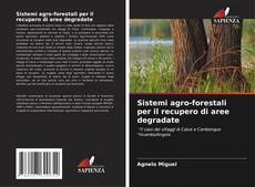 Sistemi agro-forestali per il recupero di aree degradate kitap kapağı