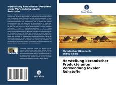 Buchcover von Herstellung keramischer Produkte unter Verwendung lokaler Rohstoffe