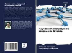 Bookcover of Научная иллюстрация об основаниях Шиффа