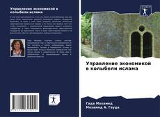 Buchcover von Управление экономикой в колыбели ислама