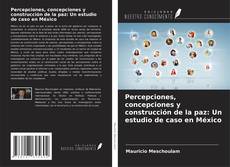 Buchcover von Percepciones, concepciones y construcción de la paz: Un estudio de caso en México