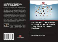 Bookcover of Perceptions, conceptions et construction de la paix : Une étude de cas au Mexique