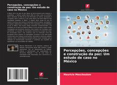 Capa do livro de Percepções, concepções e construção da paz: Um estudo de caso no México 