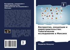 Copertina di Восприятие, концепции и миростроительство: Тематическое исследование в Мексике