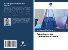 Portada del libro de Grundlagen der chemischen Kinetik