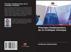 Bookcover of Principes fondamentaux de la cinétique chimique