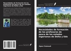 Copertina di Necesidades de formación de los profesores de pesca de los estados nigerianos de Delta y Edo