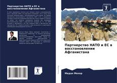 Партнерство НАТО и ЕС в восстановлении Афганистана kitap kapağı