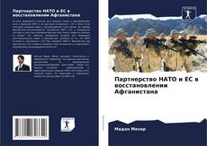 Партнерство НАТО и ЕС в восстановлении Афганистана的封面