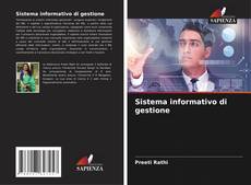 Bookcover of Sistema informativo di gestione