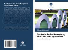 Bookcover of Geotechnische Bewertung einer Nickel-Lagerstätte