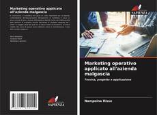 Marketing operativo applicato all'azienda malgascia kitap kapağı