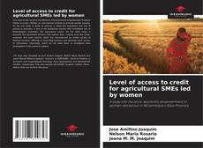 Capa do livro de Level of access to credit for agricultural SMEs led by women 