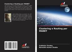 Clustering e Routing per MANET的封面