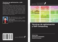 Buchcover von Técnicas de optimización y Soft Computing