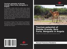 Tourism potential of Dombe Grande, Baía Farta, Benguela in Angola kitap kapağı