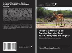 Bookcover of Potencial turístico de Dombe Grande, Baía Farta, Benguela en Angola