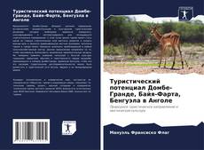 Bookcover of Туристический потенциал Домбе-Гранде, Байя-Фарта, Бенгуэла в Анголе