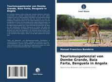 Bookcover of Tourismuspotenzial von Dombe Grande, Baía Farta, Benguela in Angola