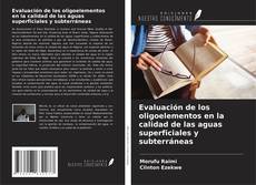 Evaluación de los oligoelementos en la calidad de las aguas superficiales y subterráneas kitap kapağı