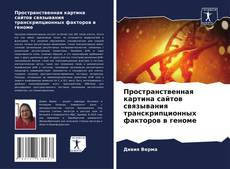 Bookcover of Пространственная картина сайтов связывания транскрипционных факторов в геноме