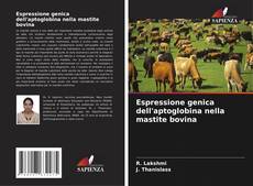 Bookcover of Espressione genica dell'aptoglobina nella mastite bovina