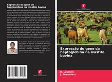 Bookcover of Expressão do gene da haptoglobina na mastite bovina