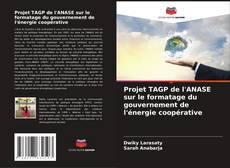 Couverture de Projet TAGP de l'ANASE sur le formatage du gouvernement de l'énergie coopérative