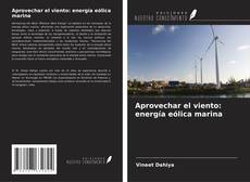 Portada del libro de Aprovechar el viento: energía eólica marina