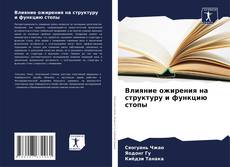 Capa do livro de Влияние ожирения на структуру и функцию стопы 