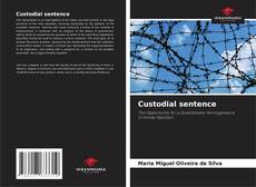 Bookcover of Custodial sentence